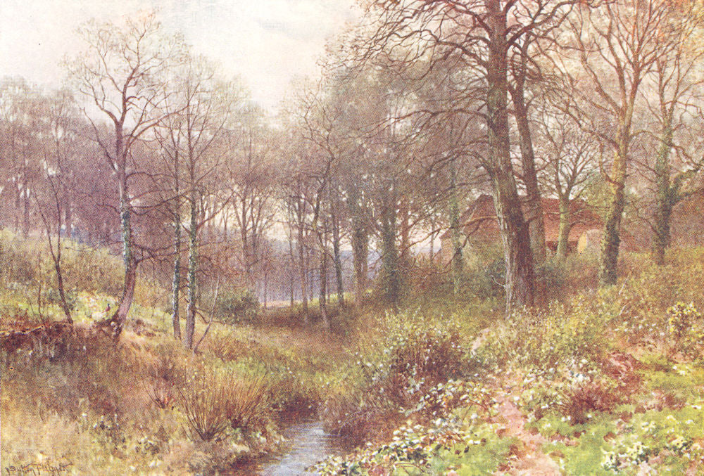 SURREY. Farm midst woods, Haslemere 1912 old antique vintage print picture